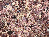 Фарш субпродуктов говяжьих